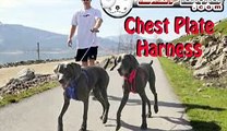 EzyDog Chest Plate Dog Harness - Award Winning Comfort and Control