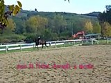 Dante - il mio cavallo -