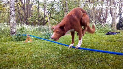 Le ZAP DE MIMI #15 - Zapping Web du 17 mai au 05 juillet 2015