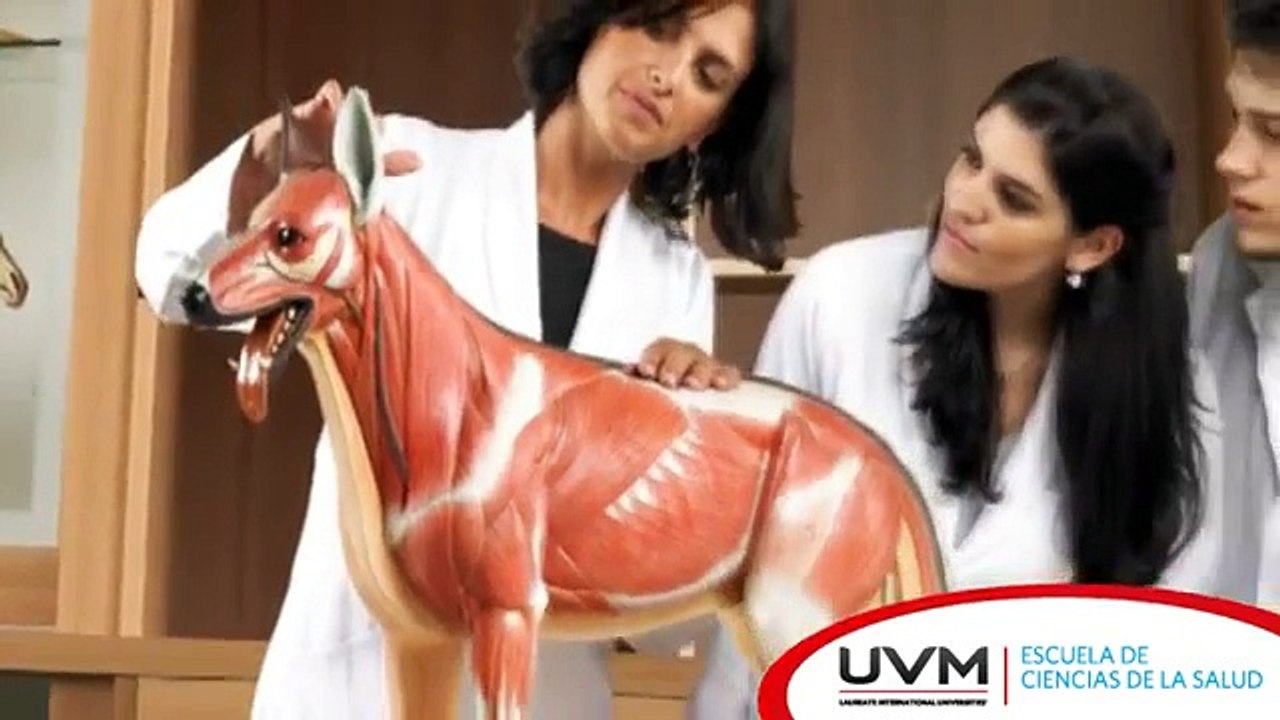Medicina Veterinaria y Zootecnia UVM