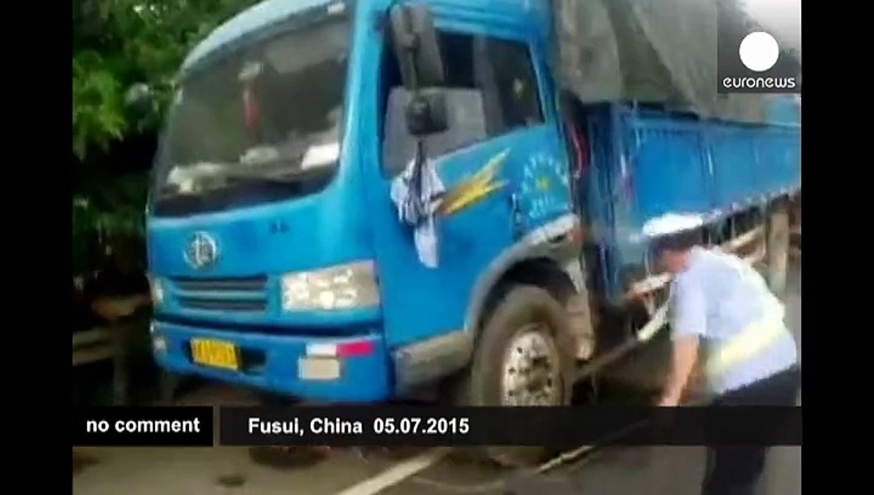 Hundreds of piglets escape from truck on Chinese highway