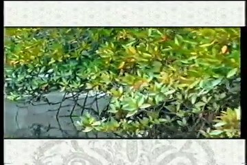 Langkawi - Tourism Malaysia Ad