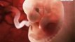 Human Birth is Truly Inspiring   Baby in Mother's Womb Animation