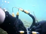 Upgraded Spearfishing Video