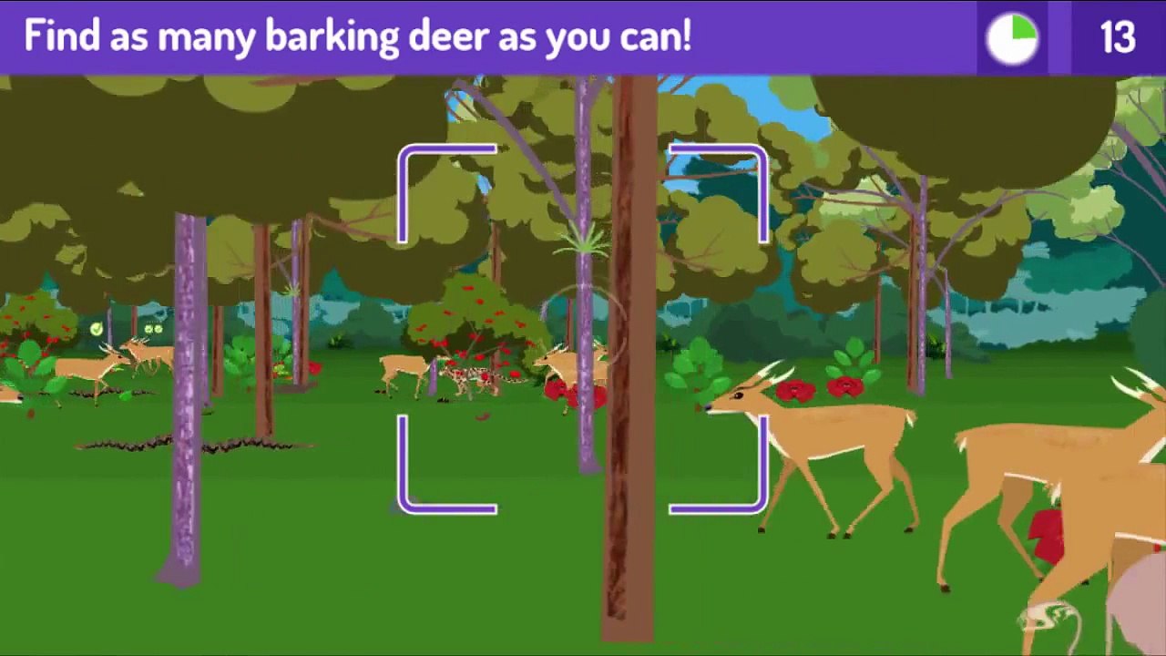 Plum Landing Jungle Rangers Cartoon Animation PBS Kids Game Play Walkthrough