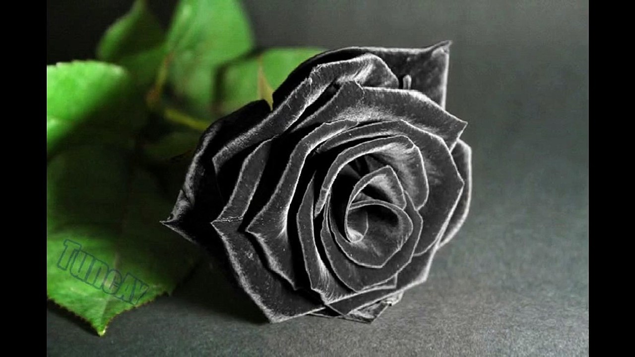 Karagül-Ahmet Şafak