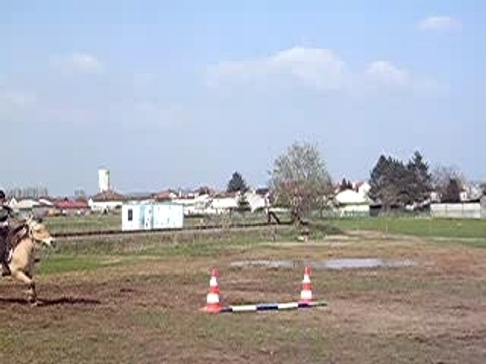 DSCN6658