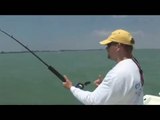 Tarpon Fishing Florida Charters Guides Trips! Big Tarpon over 100 pounds!