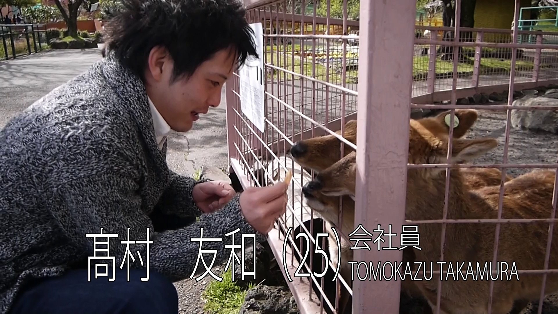 テラスハウス風 結婚式 オープニングムービー 動画 Dailymotion