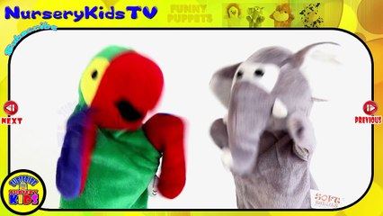 Puppets Show - Parrot  Elephant 12345 Once I caught A Fish Alive