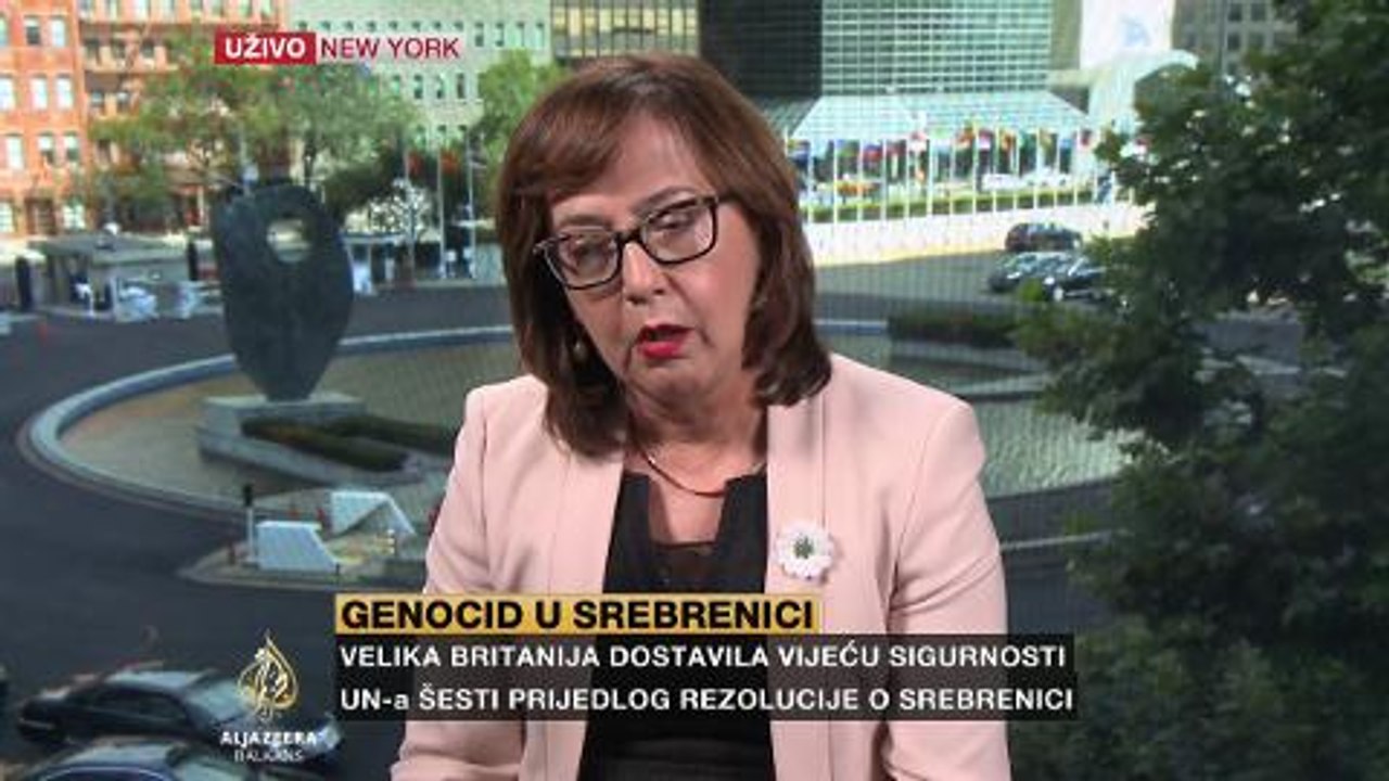 Čolaković o Rezoluciji o Srebrenici