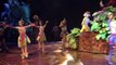 2015-06-19 The festival of the Lion King