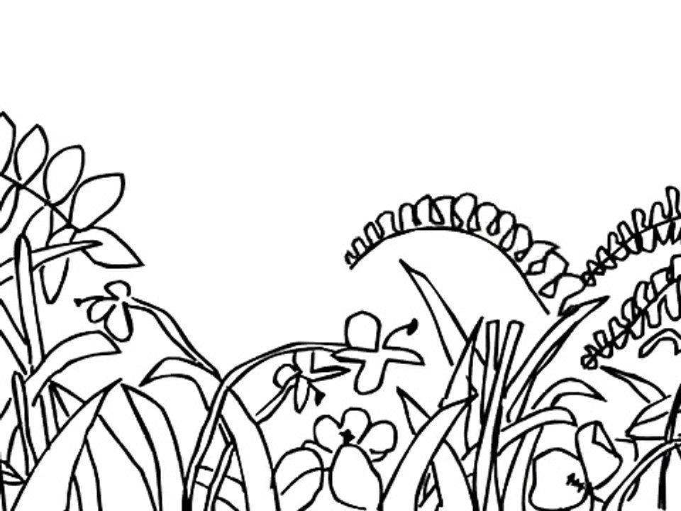 Drawing a Jungle Scene