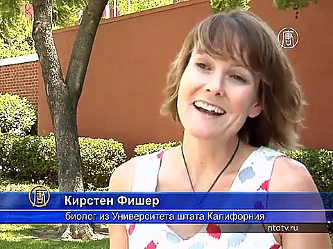 Засуха уничтожает деревья в Лос-Анджелесе