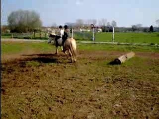 saut a cru