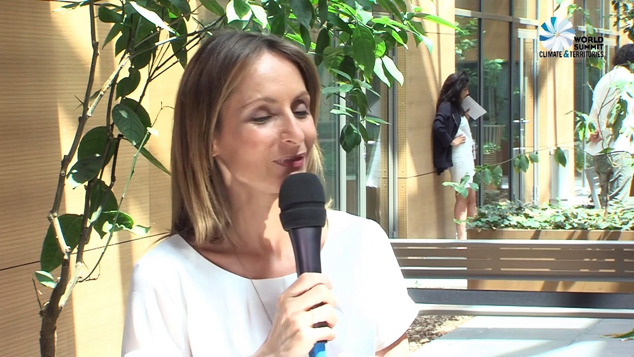 Linda Gillham, Conseiller politique CEMR -UK ,Porte Parole environnement pour le CCER
