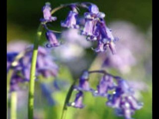 مامان ، خیلی دلم برات تنگ شده و....