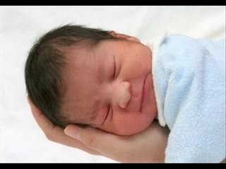 Un semblant d'Anne Geddes ...