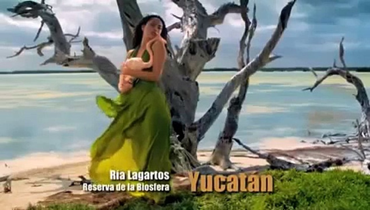 VIDEO PRECIOSO! ღ CIRQUE DU SOLEIL - Alegria ღ -