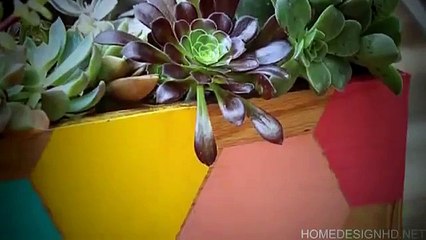 Creative Succulent Planter Ideas