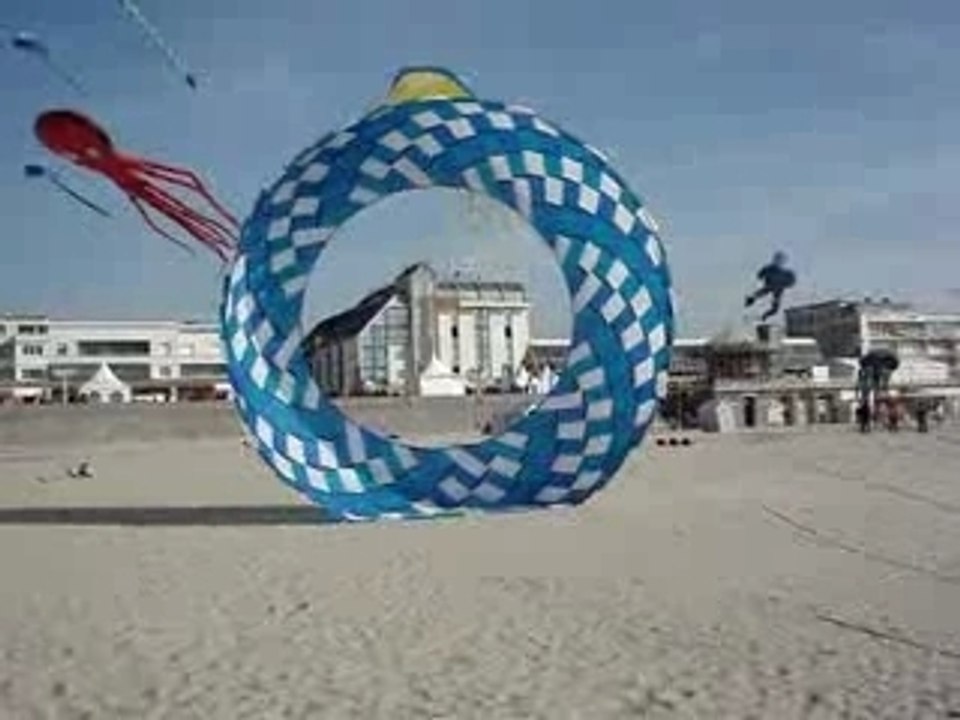 Cerf-volant Berck 2007