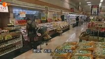 (新訳) ドイツZDF Frontal21「事故から5ヶ月の報告」 2011/8/9 放送 (9/7改訂)