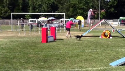 FINALE GPF 2015 RONCHAMP HELLBOY EPREUVE 2