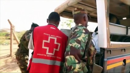 Un raid attribué aux shebab fait 14 morts au Kenya