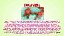 Ebola Virus? | Virus Outbreak In Africa | Causes-Symptoms-Preventions