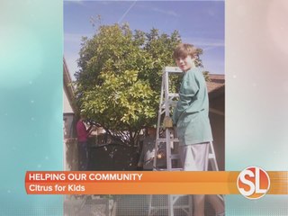 Taking unwanted fruit, and changing our community for the better - Citrus For Kids