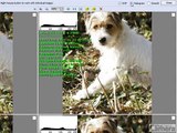 FastStone Image viewer 3.5 tutorial