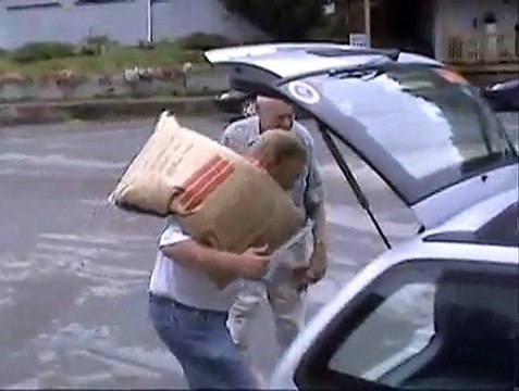 Feeding Wild Deer in West Virginia
