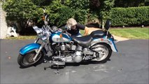 Shih Tzu dog Lacey and 1994 Harley Davidson Fatboy Motorcycle