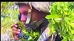 Wanni Operation original videos Sri Lanka Army