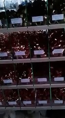 BOĞAZİÇİ MAHALLESİ ARÇELİK SERVİSİ(0312)325 68 68