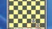 Chess Endgame Strategy - Queen vs Pawn Ending