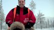 Husky Dog Sledding in Lapland, December 2011