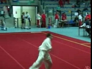 chang quan Zerrou Fares champ euro wushu