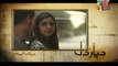 Diyar e Dil Episode 17 on Hum Tv in High Quality 7th July 2015 - DramasOnline