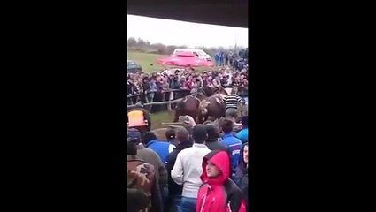 Jadran i Bećar Izačić 2015