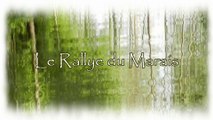Le Rallye du Marais ( version 3 )