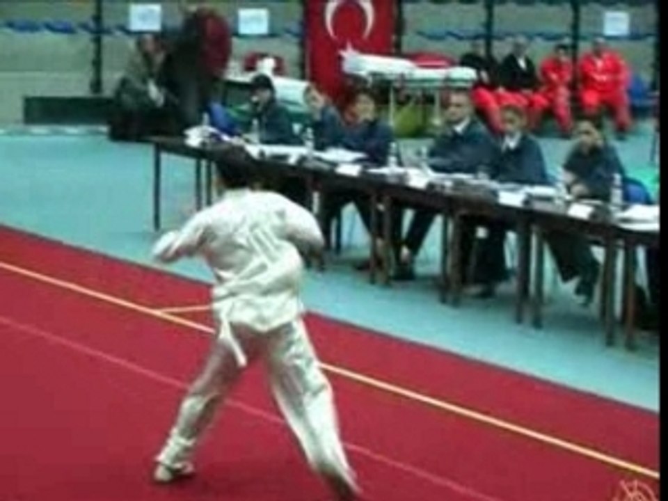 daoshu Zerrou Farres champ euro wushu 06