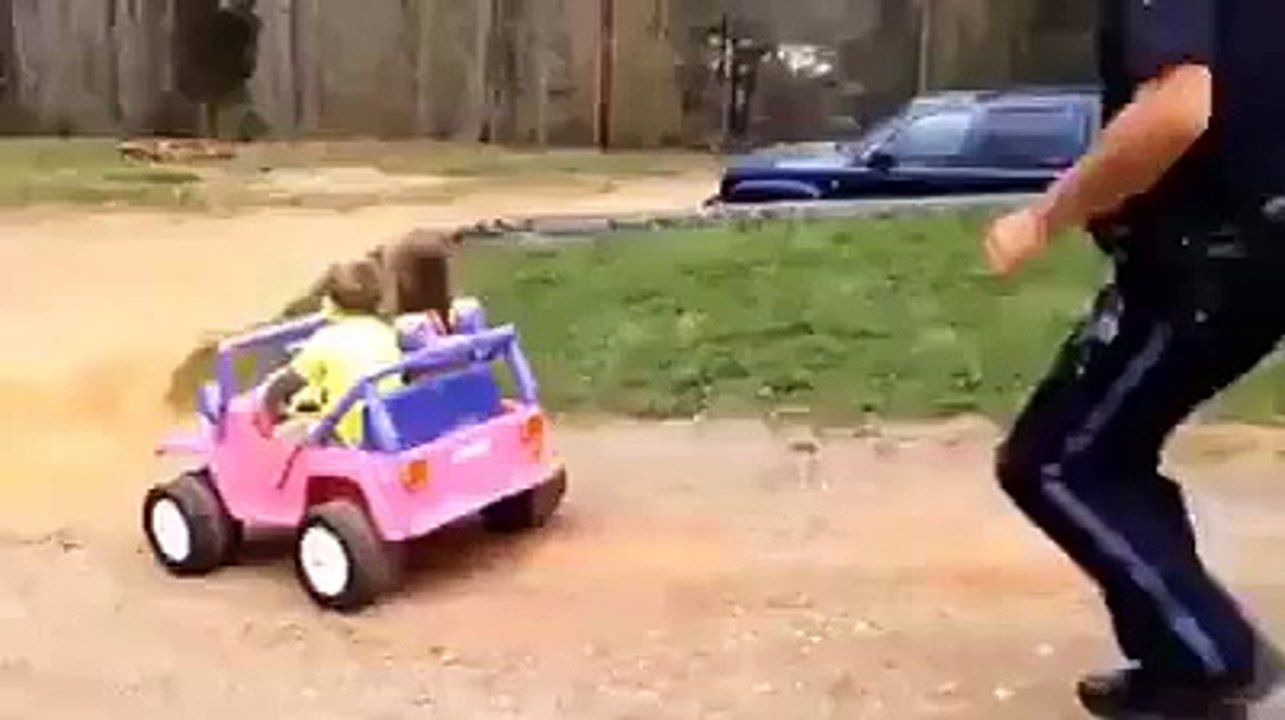 Non stop car P?syndication=228326