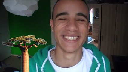 MISTER V - LE METISSAGE