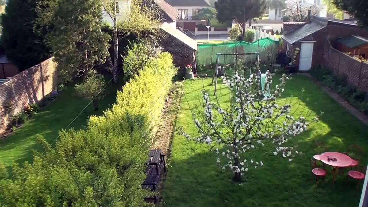 Abeilles. Déloger une colonie installée en sous toiture    Honey bee colony removal