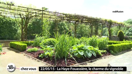 Le meilleur du 18h chez vous