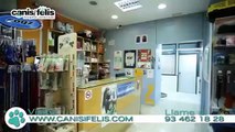 Tienda animales Barcelona. Tienda animales exóticos.