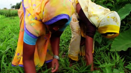 Free The Children's Adopt a Village Development Model