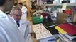 Molecular Oncology Helps Transform Genomic Medicine | Memorial Sloan Kettering