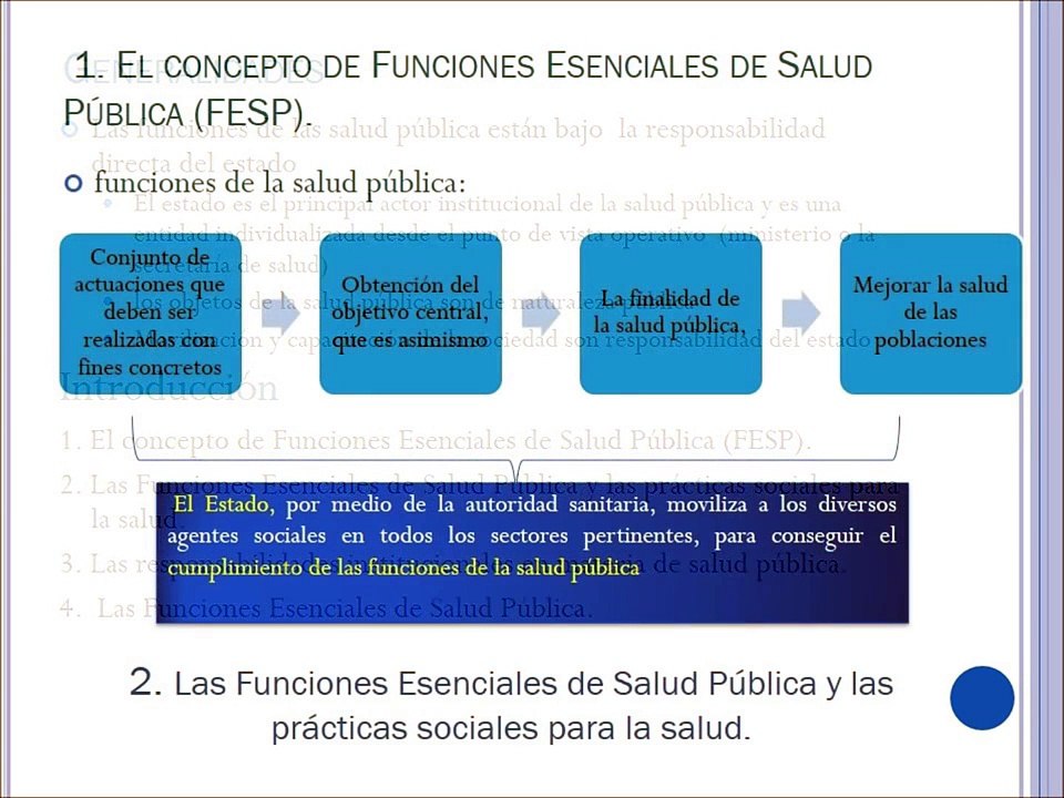 Funciones Esenciales en Salud Pública (FESP), OPS 2002